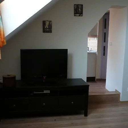 Romantic In Apartament Karlowe Wary